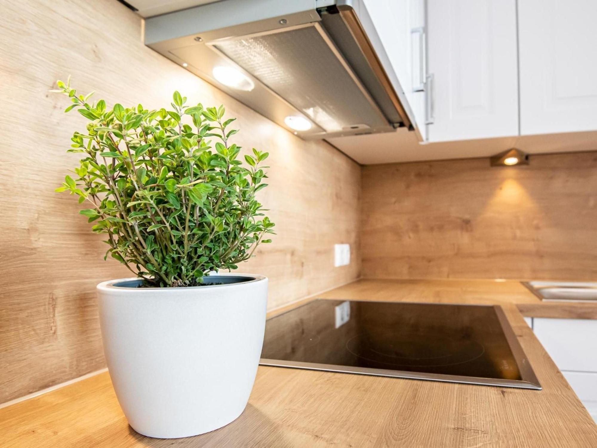 Berolina 804 Penthouse Mit Meerblick 다메 외부 사진